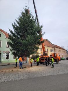 Stavění vánočního stromu