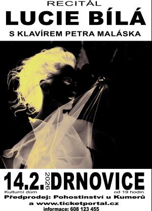 Koncert Lucie Bílé v Drnovicích 1